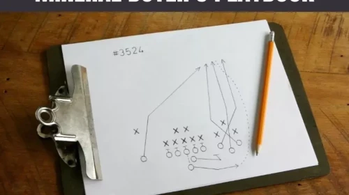 Mineral Buyer’s Playbook